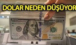 Dolar neden düşüyor!