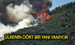 Ülkenin dört bir yanı yanıyor