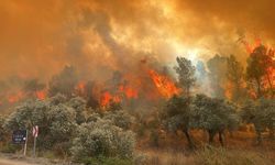 Muğla’da korkutan yangın yaşandı