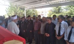 Kıbrıs gazisi babasını öldürdü