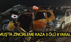 Muş'ta zincirleme kaza: Ortalık kan gölüne döndü