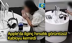 Apple'da ilginç hırsızlık görüntüsü! Kabloyu kemirdi