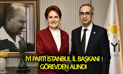 İyi Parti İstanbul İl Başkanı Neden Görevden Alındı?
