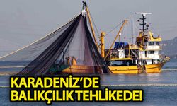 Karadeniz'de balıkçılık tehlikede!