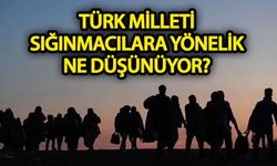 Türk Milleti sığınmacılara yönelik ne düşünüyor?