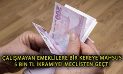 Emeklilere bir defalığına 5 bin TL ikramiye! Meclisten geçti