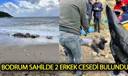 Bodrum'da  sahilde ve denizde ceset bulundu