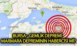 Gemlik depremi  Marmara depreminin habercisi mi?