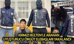 Kırmızı Bülten’le aranan uyuşturucu örgüt elebaşları yakalandı