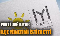 İYİ Parti dağılıyor: İlçe yönetimi istifa etti