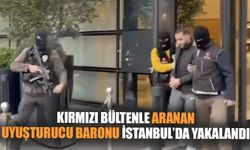 Kırmızı Bültenle Aranan  Uyuşturucu baronu İstanbul’da Yakalandı