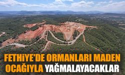 Fethiye'de ormanları maden ocağıyla yağmalayacaklar