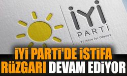 İYİ Parti'de istifa rüzgarı devam ediyor