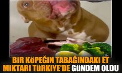 Bir köpeğin tabağındaki et miktarı Türkiye'de gündem oldu