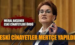 Meral Akşener’in affı kabahatinden büyük!