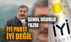 İYİ Parti iyi değil