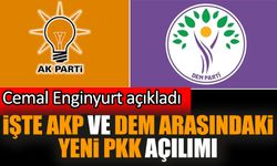 İşte AKP ve DEM arasındaki yeni PKK açılımı