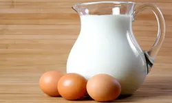 Yumurta üretimi ve inek sütü miktarı sevindirdi!