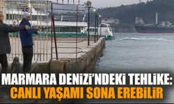 Marmara Denizi’ndeki tehlike: Canlı yaşamı sona erebilir