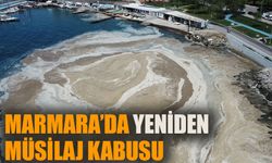 Marmara Denizi'nde yeniden müsilaj kabusu