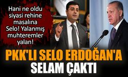 PKK'lı Selo Erdoğan'a selam çaktı