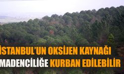 İstanbul’un oksijen kaynağı madenciliğe kurban edilebilir!