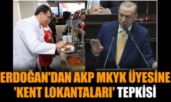Erdoğan'dan AKP MKYK üyesine 'Kent Lokantaları' tepkisi