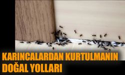 Karıncalardan kurtulmanın doğal yolları…