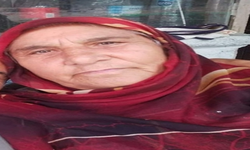 Kırşehir'de Korkunç Kaza!  Yaşlı Çift Hayatını Kaybetti