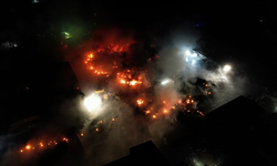 Ankara'da korkutan yangın! Hayvanlar alevler arasında kaldı