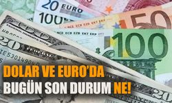 Dolar ve Euro'da son durum ne? (14 Mayıs 2024)
