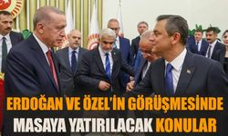 Erdoğan ve Özel’in görüşmesinde masaya yatırılacak konular…