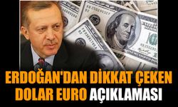 Erdoğan'dan dikkat çeken Dolar Euro açıklaması
