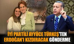 İYİ Partili Ayyüce Türkeş'ten Erdoğan'ı kızdıracak gönderme