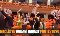 Meclis'te 'Kobani davası' protestosu
