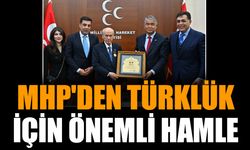 MHP'den Türklük için önemli hamle