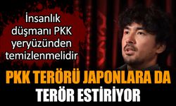 PKK terörü Japonlara da terör estiriyor