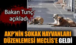 AKP'nin sokak hayvanları düzenlemesi Meclis'e geldi