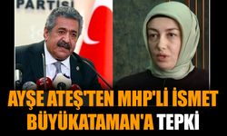 Ayşe Ateş'ten MHP'li İsmet Büyükataman'a tepki