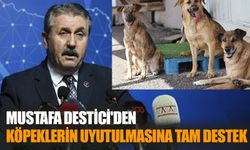 Mustafa Destici'den  Köpeklerin Uyutulmasına Tam Destek