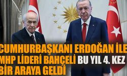 Cumhurbaşkanı Erdoğan MHP Genel Başkanı Bahçeli ile görüştü