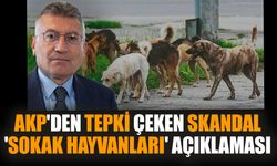 AKP'den tepki çeken skandal 'sokak hayvanları' açıklaması