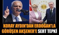 Koray Aydın'dan Erdoğan'la görüşen Akşener'e sert tepki