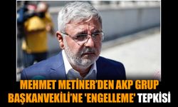 Mehmet Metiner’den AKP Grup Başkanvekili’ne 'engelleme' tepkisi