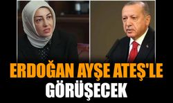 Erdoğan Ayşe Ateş'le görüşecek