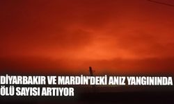 Diyarbakır ve Mardin'deki Anız Yangınında 4 Ölü, 19 Yaralı