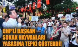 CHP’li Başkan sokak hayvanları yasasına tepki gösterdi!