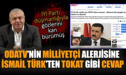 OdaTV'nin Milliyetçi alerjisine İsmail Türk'ten tokat gibi cevap! İYİ Parti düşmanlığıyla gözlerini kan bürümüş