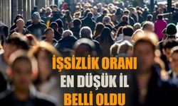 Türkiye'nin işsizlik oranı en düşük ili belli oldu