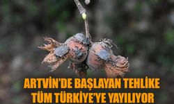 Artvin’de başlayan tehlike  tüm Türkiye’ye yayılıyor